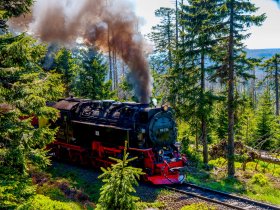 Harz-Abenteuer in Wernigerode