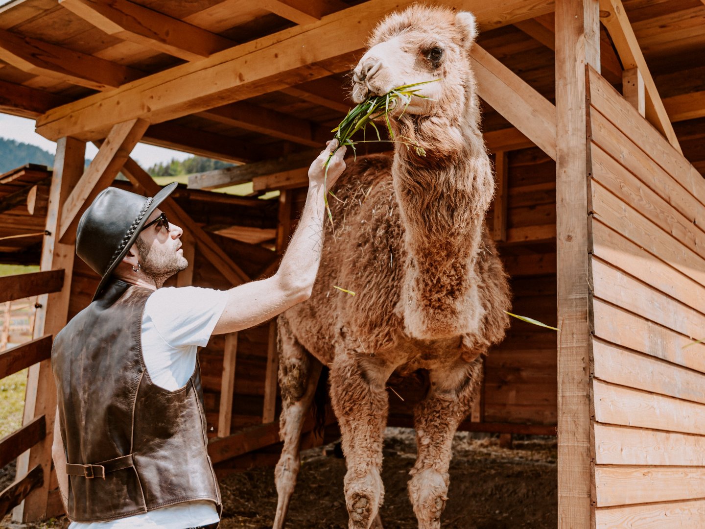 Wanderlust & Wellness in den Südtiroler Dolomiten mit Lüsen-Gästekarte & Halbpension | 2 Nächte