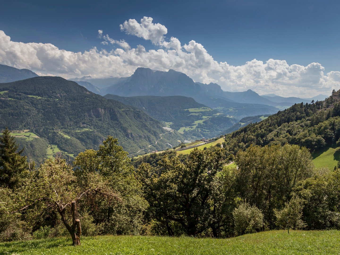 Wanderlust & Wellness in den Südtiroler Dolomiten mit Lüsen-Gästekarte & Halbpension | 2 Nächte
