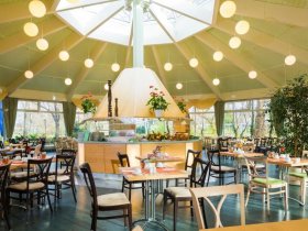 Schnupper- Spar Preis!  3 Tage Dresden erleben! Direkt  an der Brühlschen Terrasse am Elbufer 