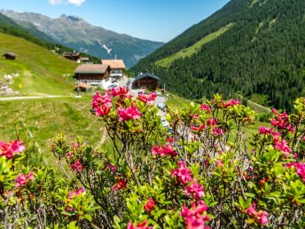 Wanderurlaub mit Bergbahn-Nutzung und Welcome Card in Tirol | 5 Nächte