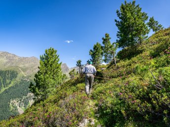 Wanderurlaub mit Bergbahn-Nutzung und Welcome Card in Tirol | 5 Nächte