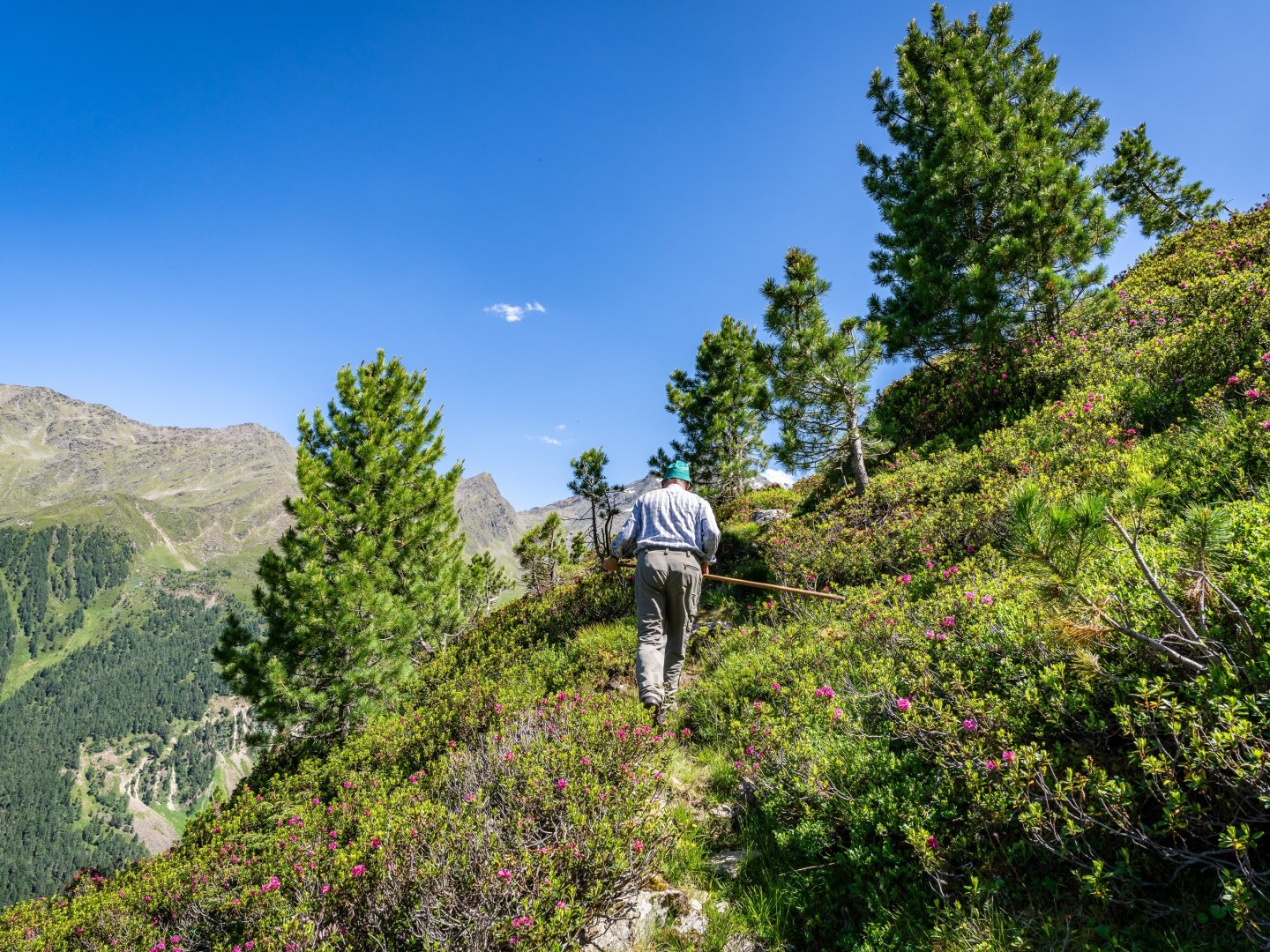 Wanderurlaub mit Bergbahn-Nutzung und Welcome Card in Tirol | 5 Nächte
