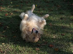 Family Escape am See in Ketsch am Rhein | 2 Nächte 