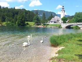 Bergidylle & Seegenuss - Kurzurlaub am Bohinj See inkl. Halbpension | 3 Nächte 