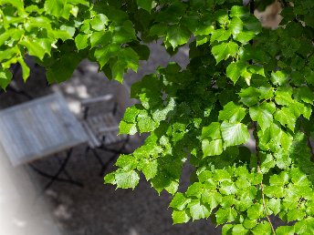 Gourmetauszeit mit Kulinarischem Genuss am Traunsee | 3 Tage
