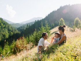 Familienurlaub am Naturbadeteich im Salzburger Land inkl. 1 Kind bis 10 Jahre gratis / 3 Nächte