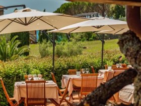 Wilde Toskana & Olivenöl-Genuss - 3 Tage 