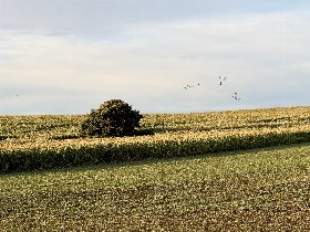 Kurzurlaub am Jasmunder Bodden - Ihre Auszeit im Herbst