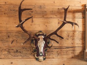 Romantische Auszeit inkl. Massage im Montafon