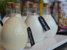 Übernachten & Aufwachen im ScanHotels Stadthafen