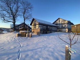 Weihnachten auf der Domäne Groschwitz – Ihr stilles Fest in der Natur