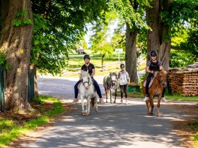 Weihnachten auf der Domäne Groschwitz – Ihr stilles Fest in der Natur