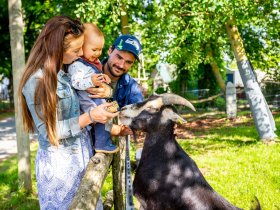 2 Tage Ferienhof-Auszeit in der Natur zwischen Saaletal und Thüringer Wald