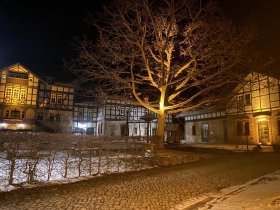 Weihnachten auf der Domäne Groschwitz – Ihr stilles Fest in der Natur