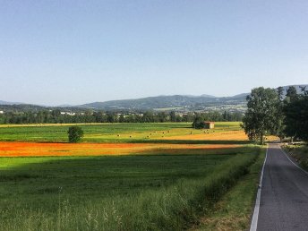 Bild 21 von 28