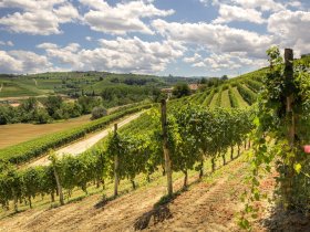 Toskanischer Genuss in Arezzo - 3 Tage / 2 Nächte