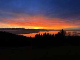 Bodenseepanorama mit süßer Überraschung im Weinkeller | 2 Nächte